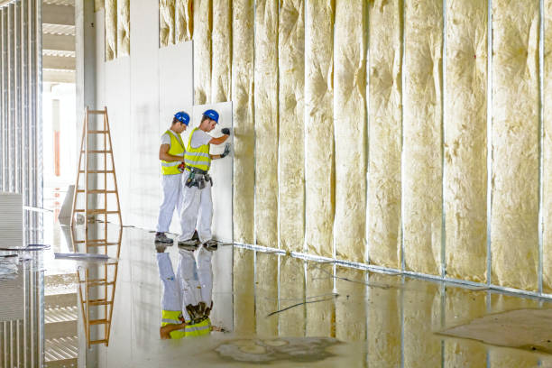 Best Insulation Repair Services  in Iola, WI